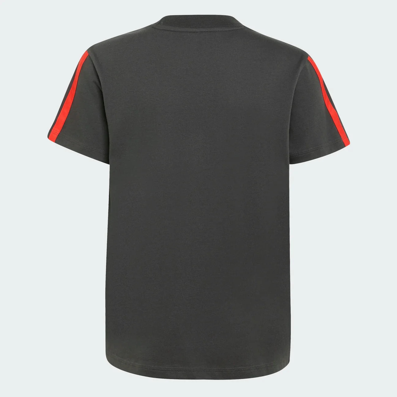 Audi F1 2026 Team DNA Shirt
